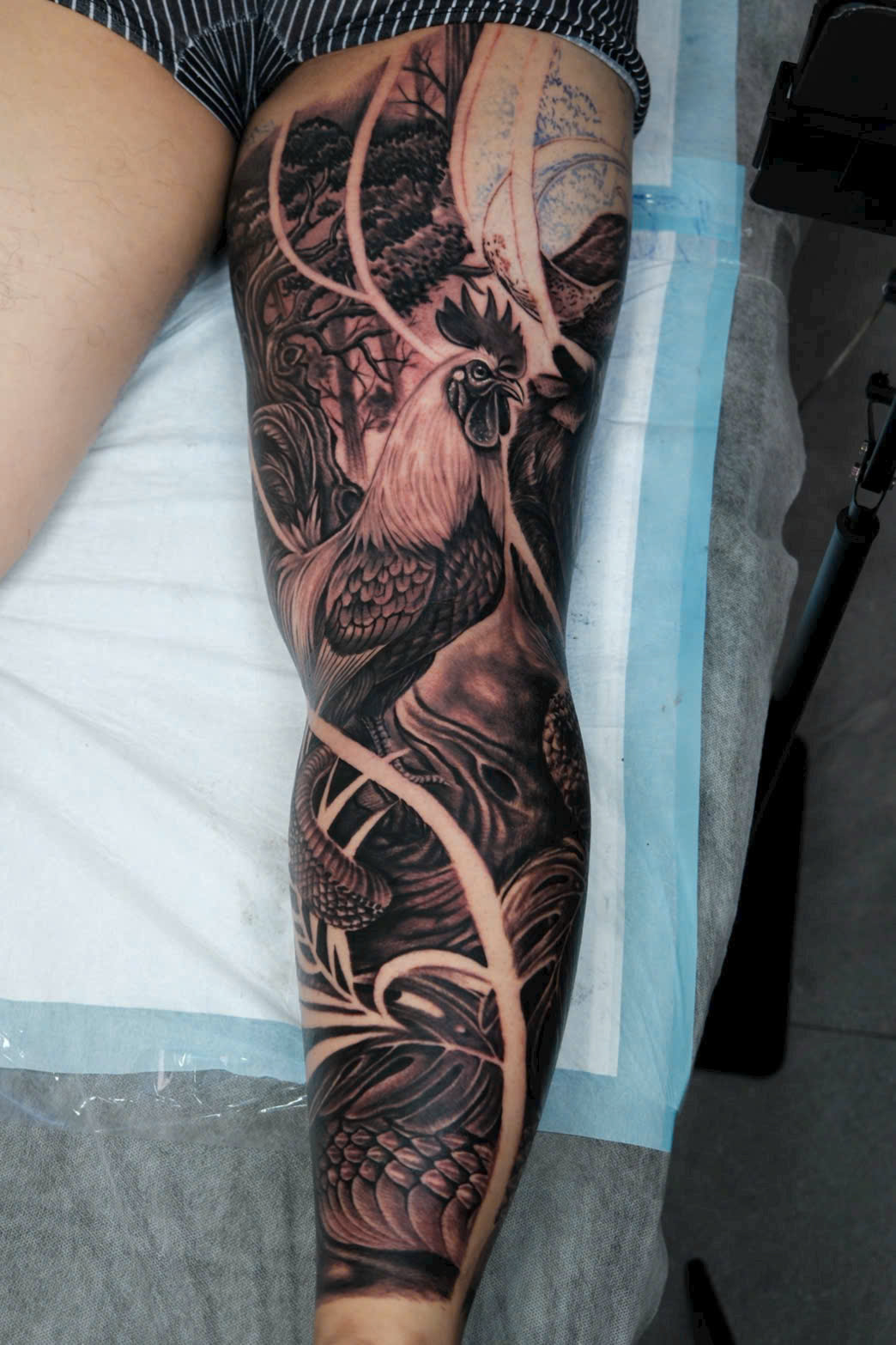 z7290709493271_d27be2e0aeeb262e0430af4bd7f87d87 z7290709493271_d27be2e0aeeb262e0430af4bd7f87d87