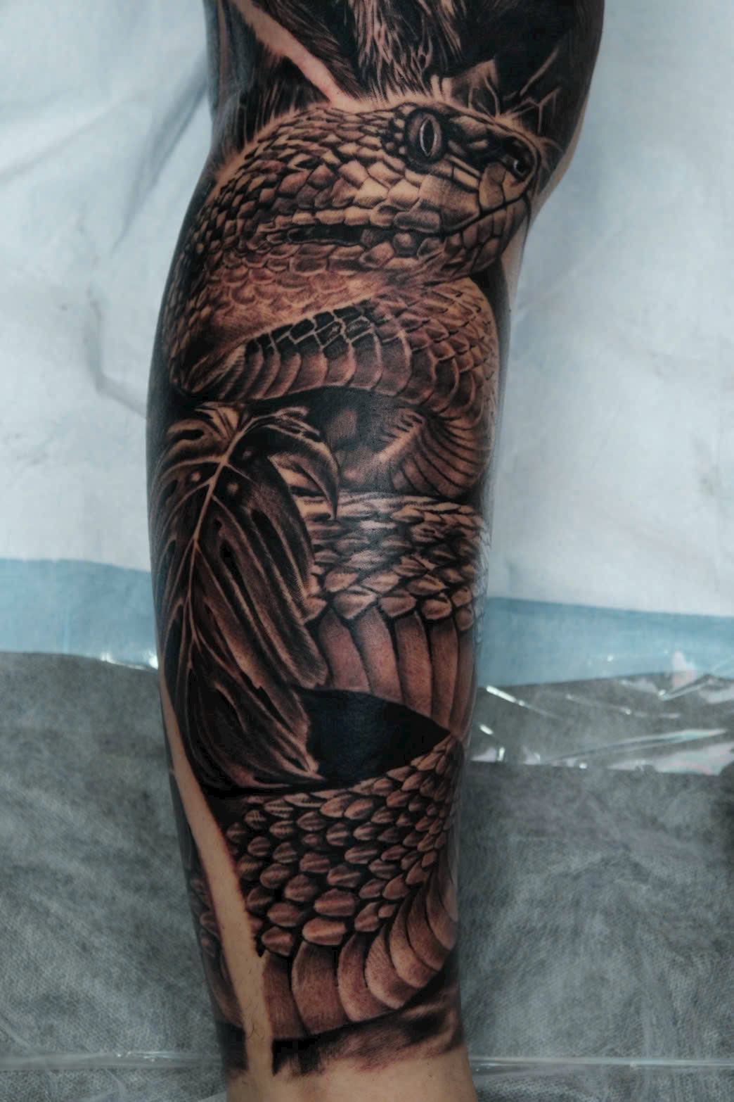 z7290709497251_fc08a0d793912ada83b77729f4f056ad z7290709497251_fc08a0d793912ada83b77729f4f056ad